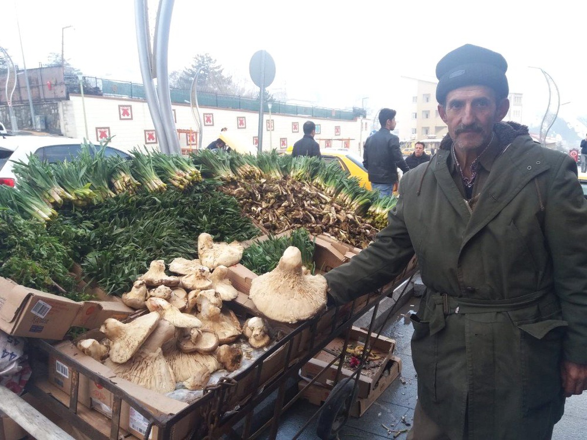 Hakkari\'de Yılın İlk Mantarı Piyasaya Çıktı