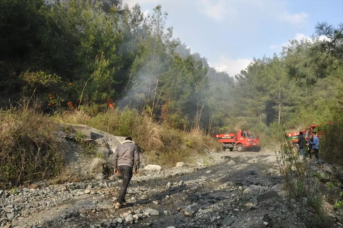 Hatay\'da Orman Yangını