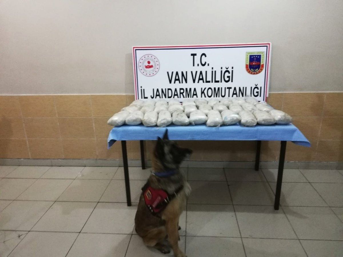 Jandarmadan Uyuşturucu Operasyonu