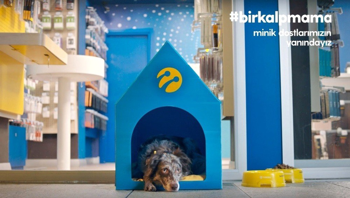 Turkcell\'in 1400 Mağazası Minik Dostlara Kapılarını Açıyor