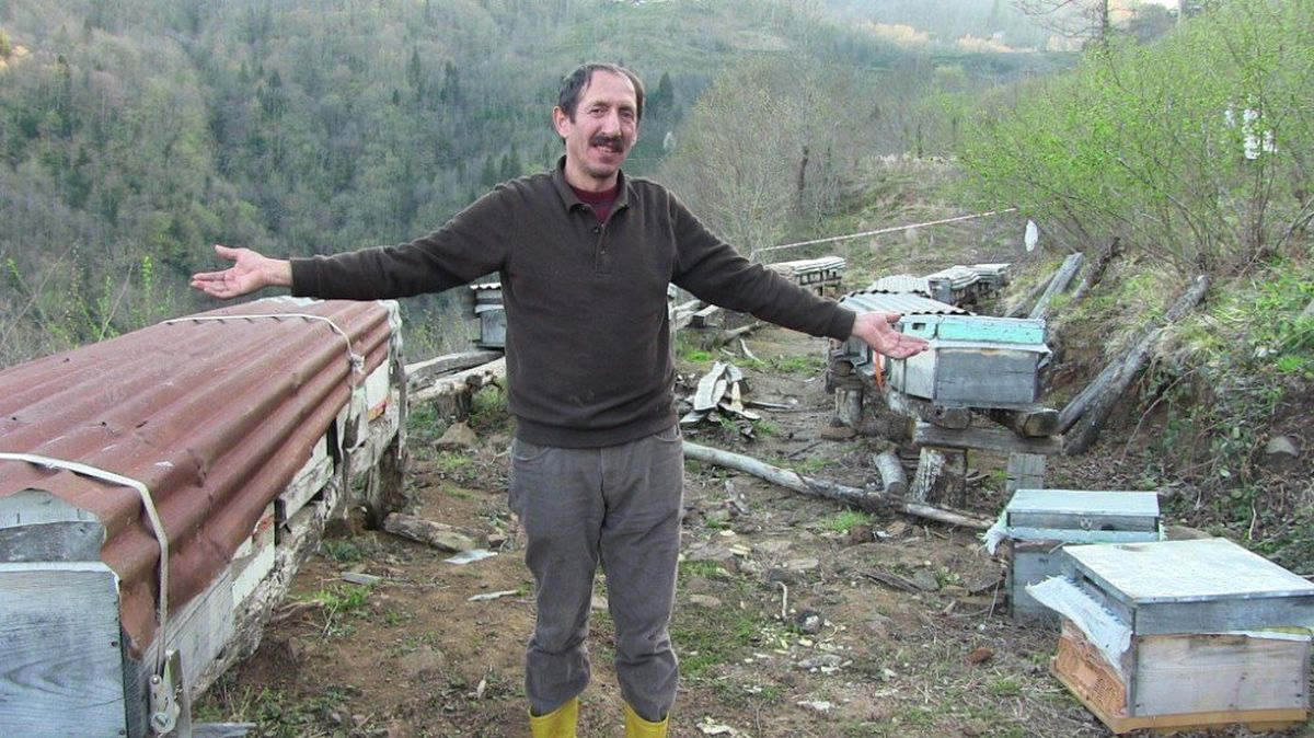 Artvin\'in Borçka İlçesinde Ayı Saldırıları Köylüleri Canından Bezdirdi