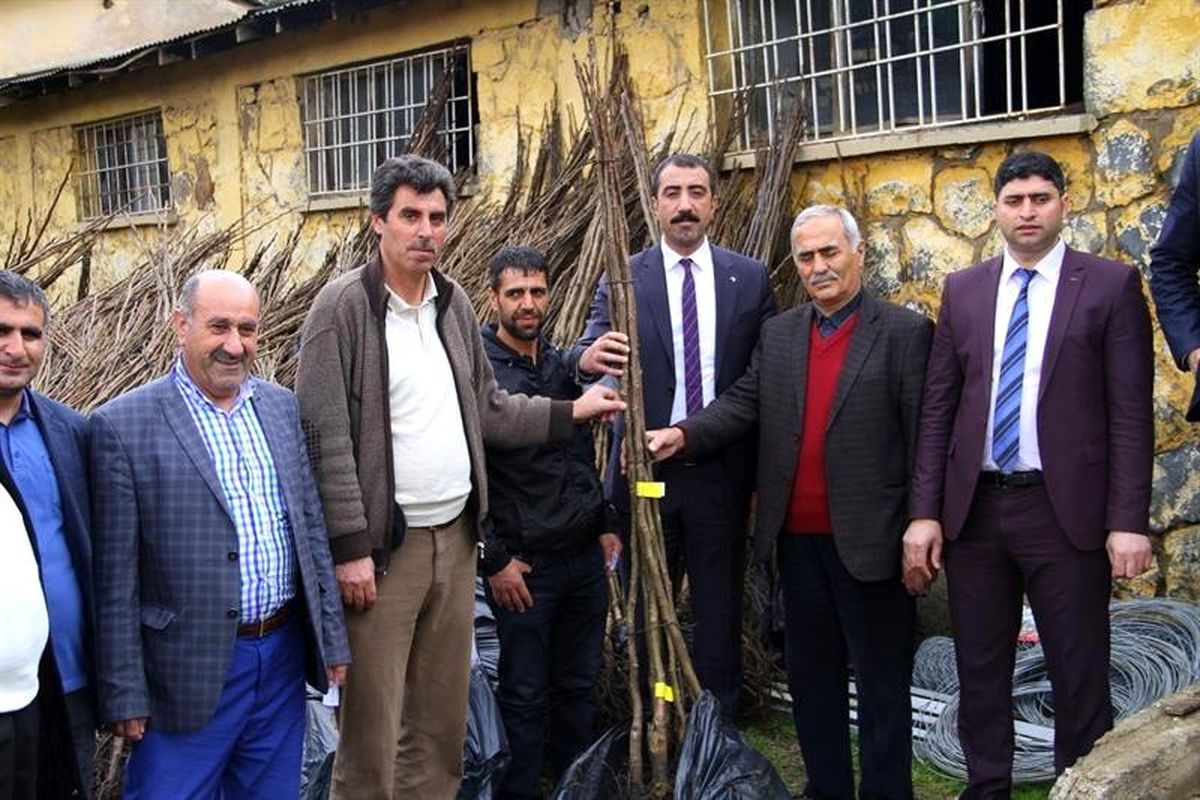 Bingöl\'de 18 Bin Adet Ceviz Fidanı Dağıtıldı