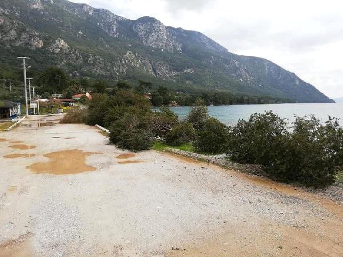 Dünyaca Ünlü Akbük Koyu\'ndaki Ağaç Katliamıyla İlgili 2 Gözaltı