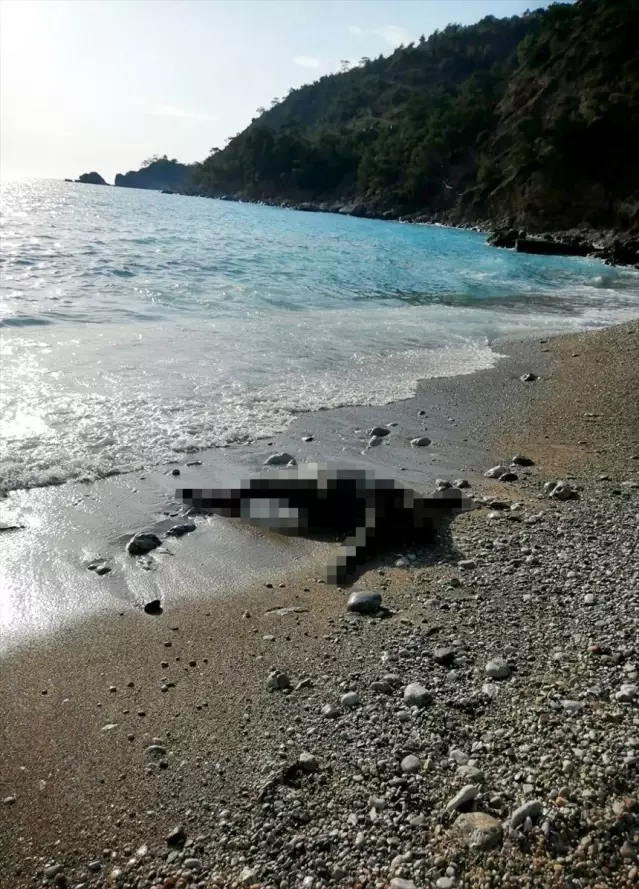 Fethiye'de Denizde Erkek Cesedi Bulundu - Son Dakika