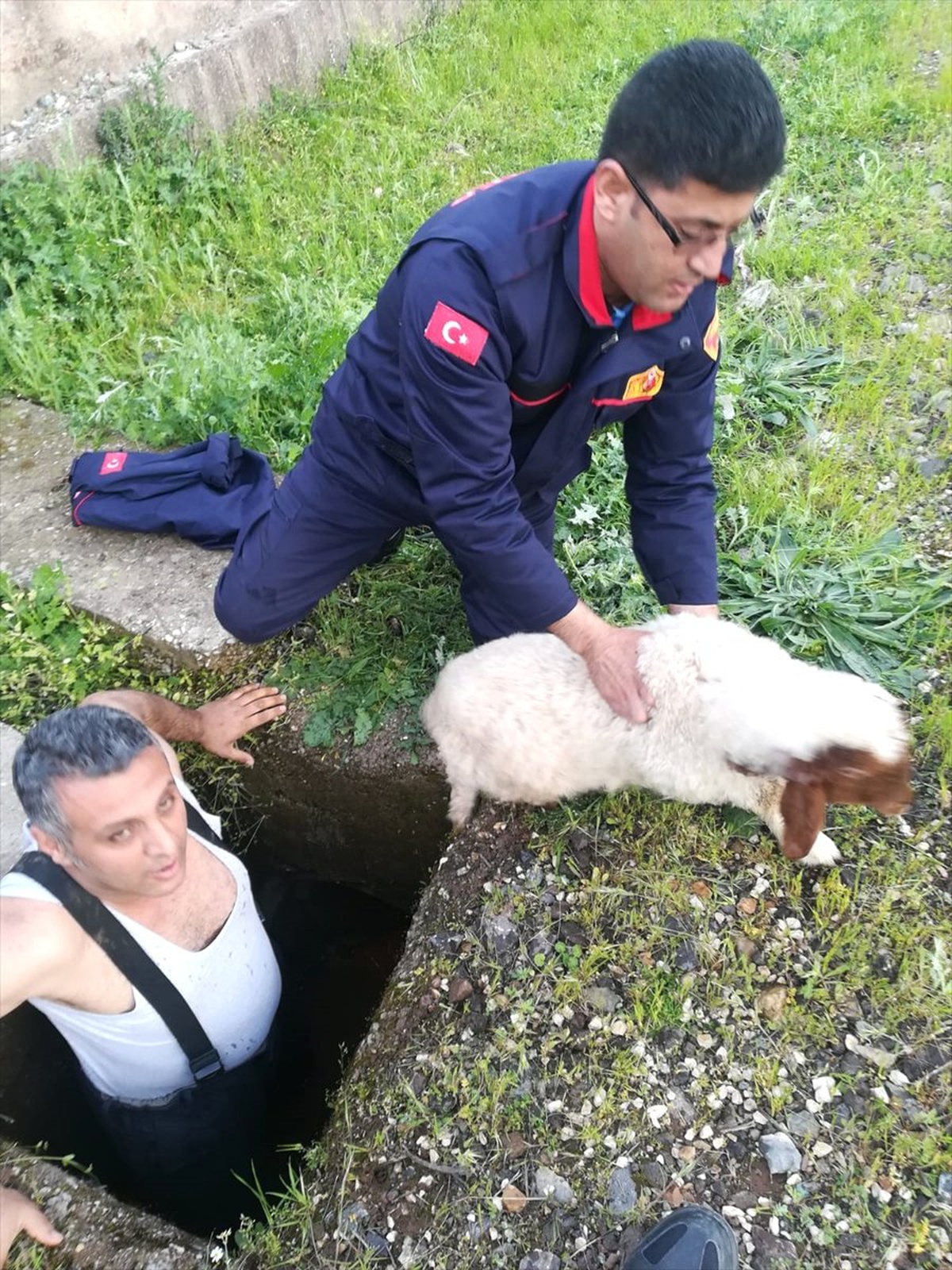 Gaziantep\'te Kanala Düşen Kuzuyu İtfaiye Kurtardı