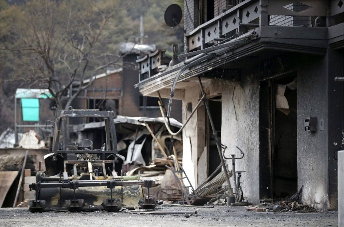 Güney Kore\'de Orman Yangını Kontrol Altına Alındı, 478 Ev Yandı