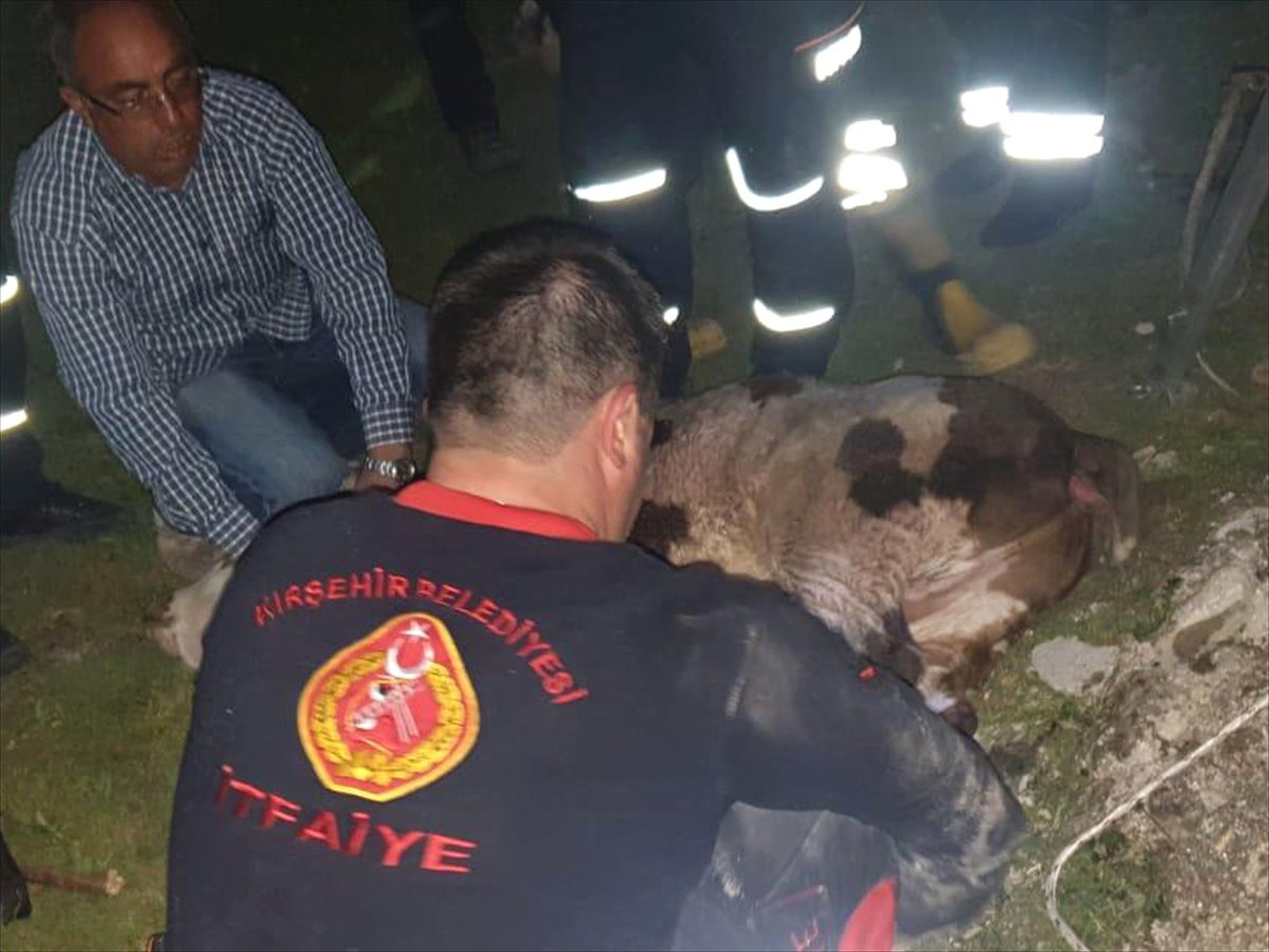 Kırşehir\'de 15 Metrelik Kuyuya Düşen Buzağıyı İtfaiye Kurtardı