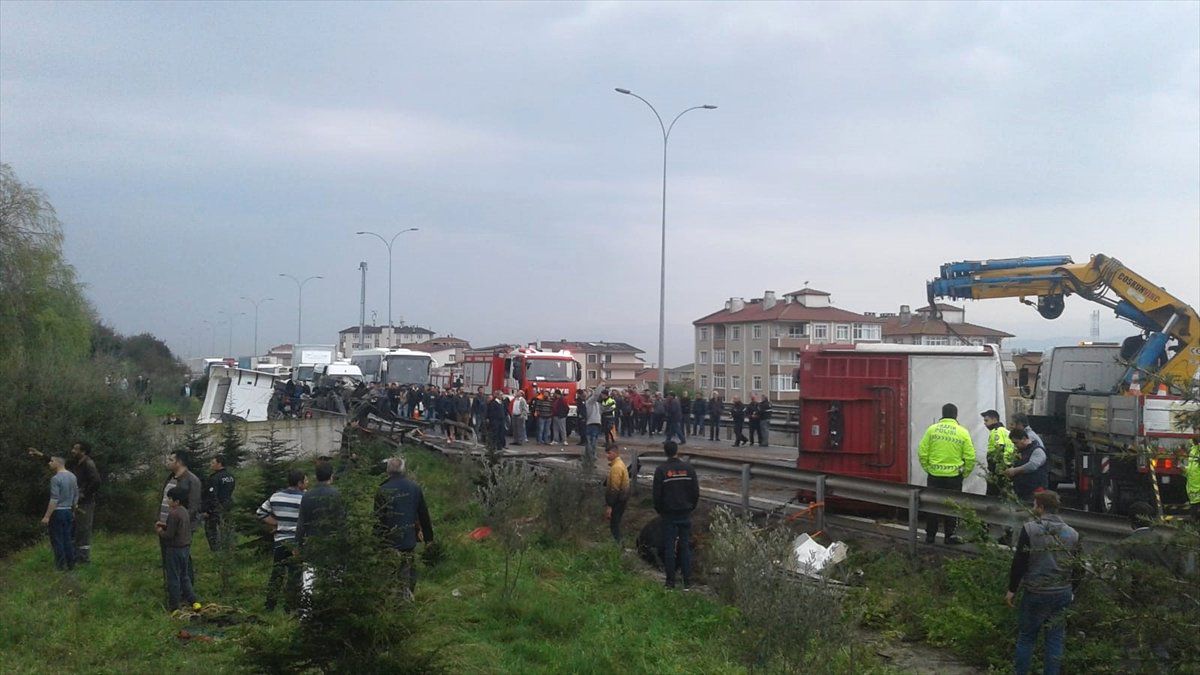 Kocaeli\'de Büyükbaş Hayvan Yüklü Tır Devrildi
