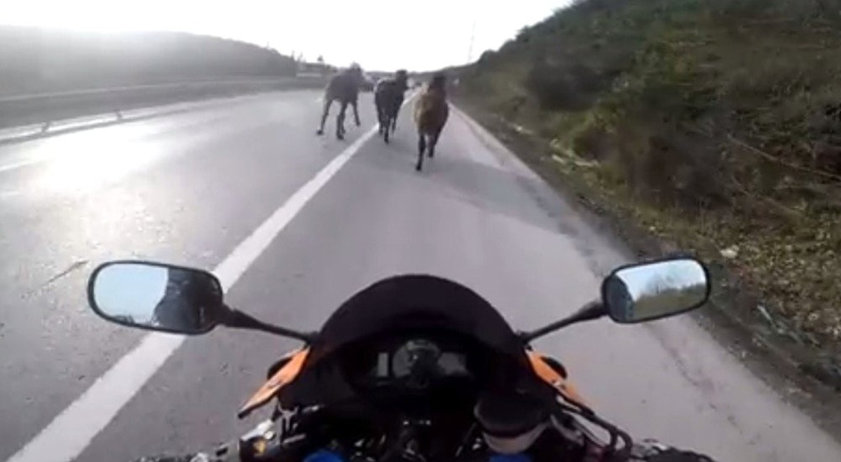 Şile Yolunda Motosikletli Asfalt Kovboyları Kamerada