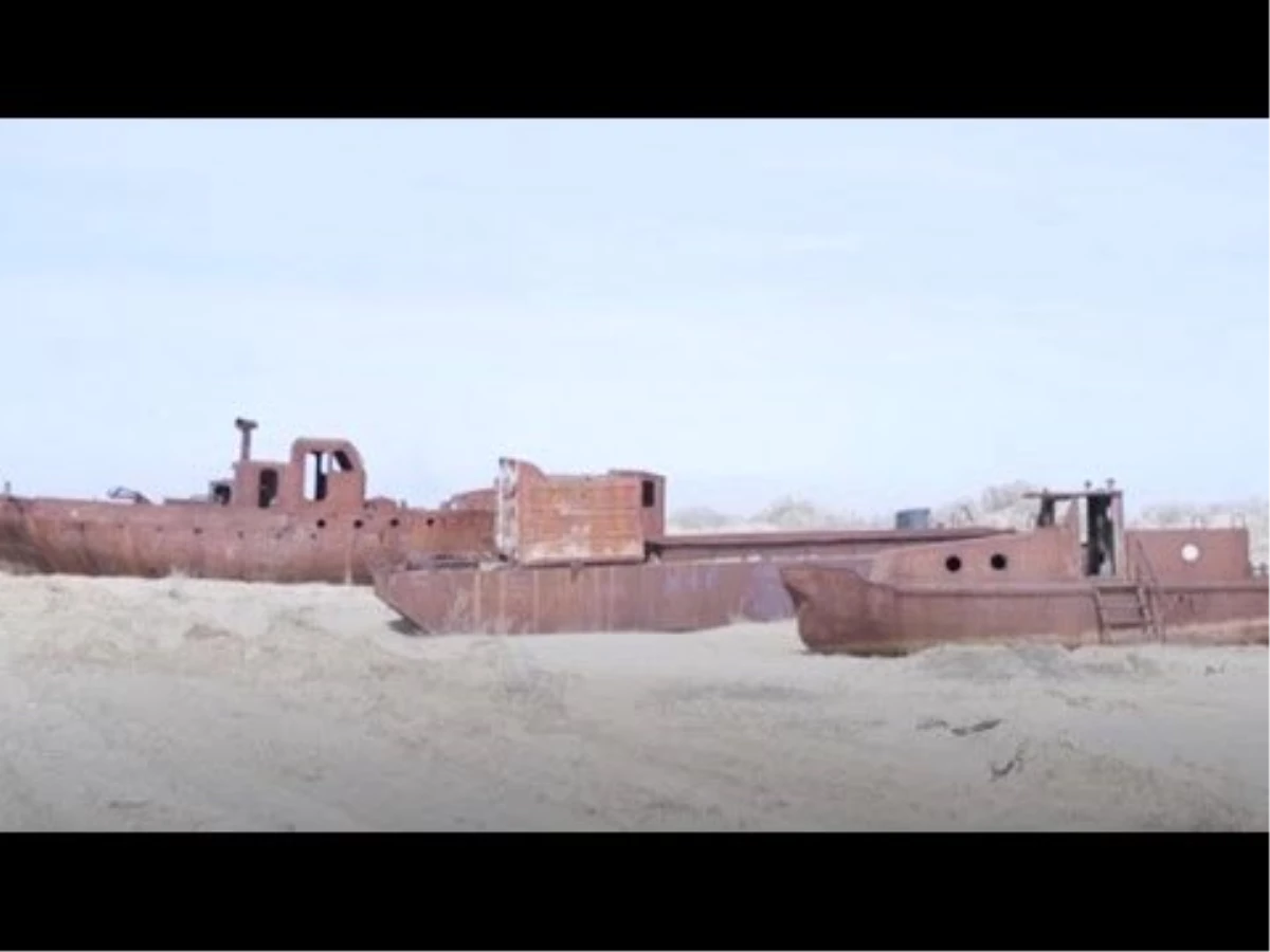Video | Yüzde 90\'ı Kuruyan Aral Gölü\'nü Ağaçlar Kurtaracak