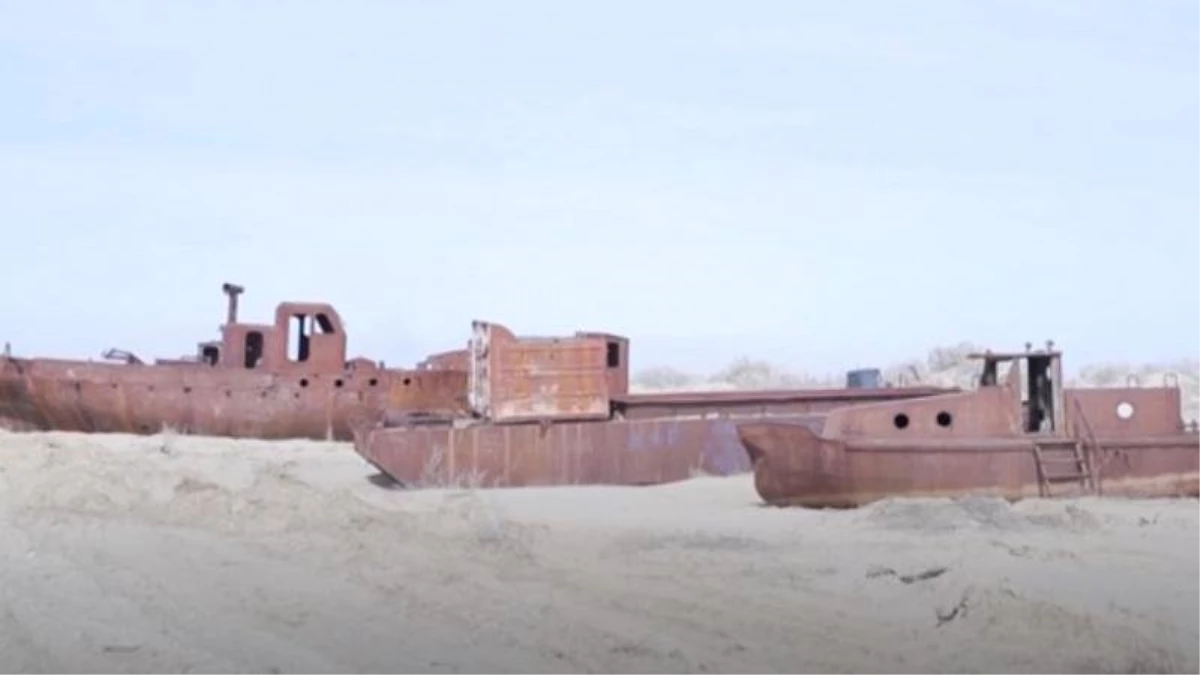 Video | Yüzde 90\'ı Kuruyan Aral Gölü\'nü Ağaçlar Kurtaracak