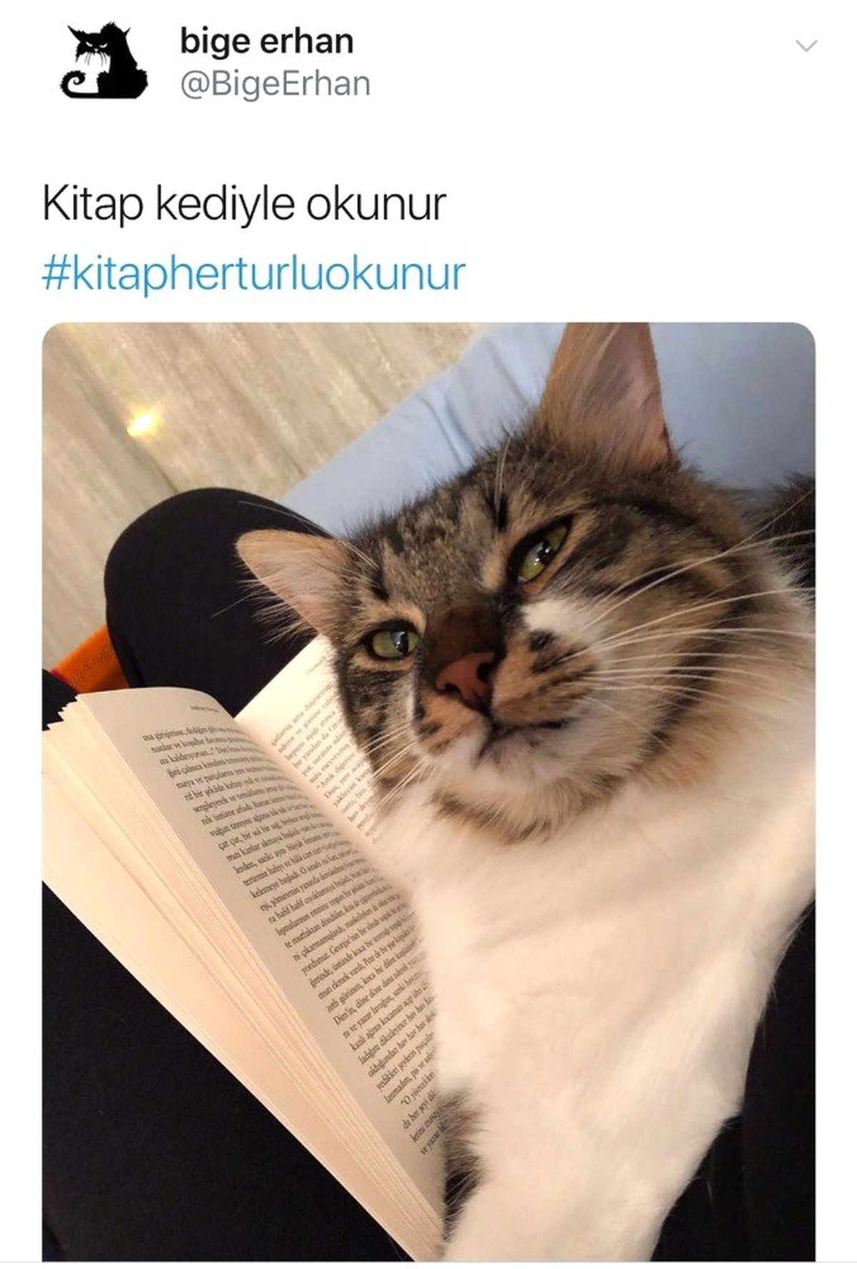 Yazar Akpınar, Sosyal Meydanın \'Mış\' Gibi Yapılan Kitap Okuma Kültürüne Karşı Kampanya Başlattı