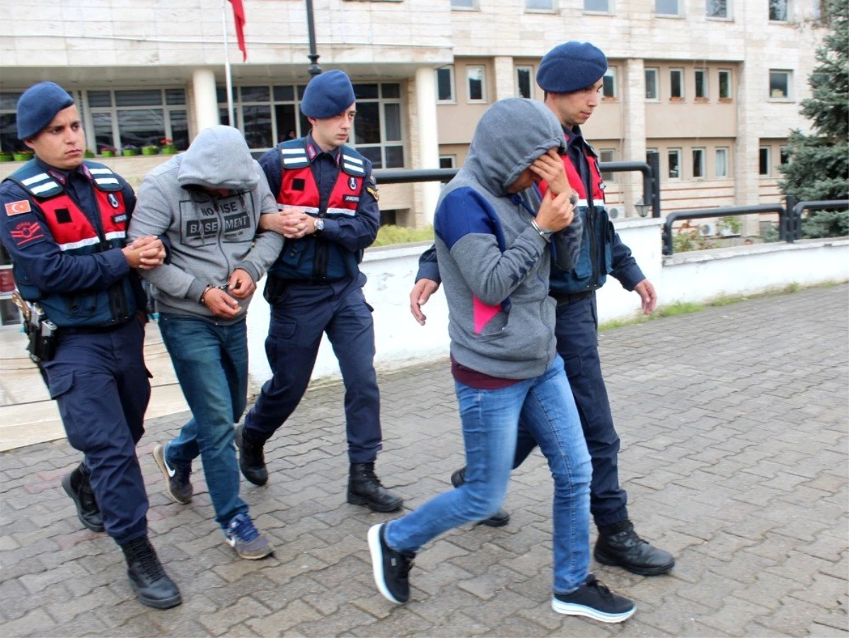 Akbük\'te Ağaçları Kesen Şahıslar Tutuklandı