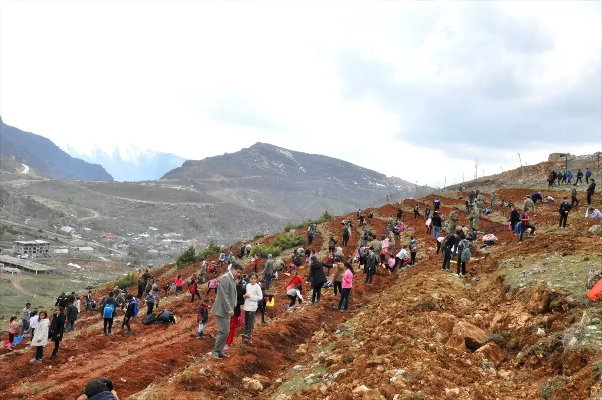 Çukurca\'da Güvenlik Güçleriyle Vatandaşlar Fidan Dikti