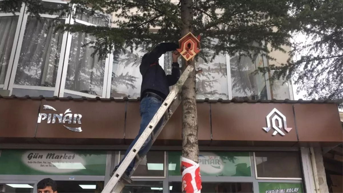 Çukurca\'da Kuşlar İçin Ağaçlara 100 Adet Yuva Yerleştirildi