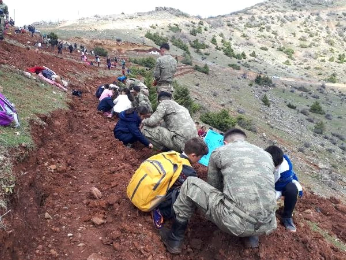 Çukurca\'da Sınırdaki Üs Bölgesine Fidan Diktiler