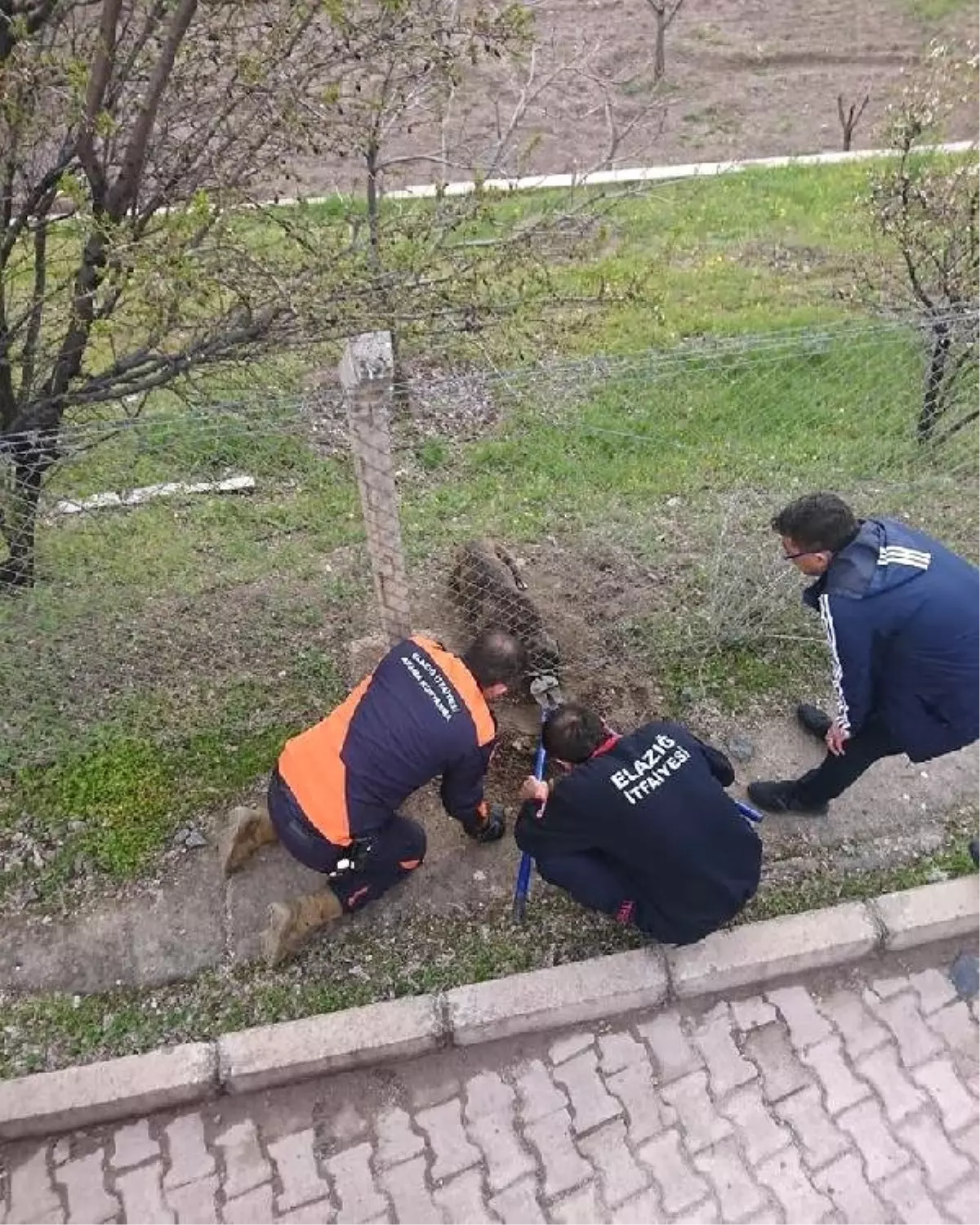 Elazığ\'da Bahçe Teline Takılan Köpek Kurtarıldı