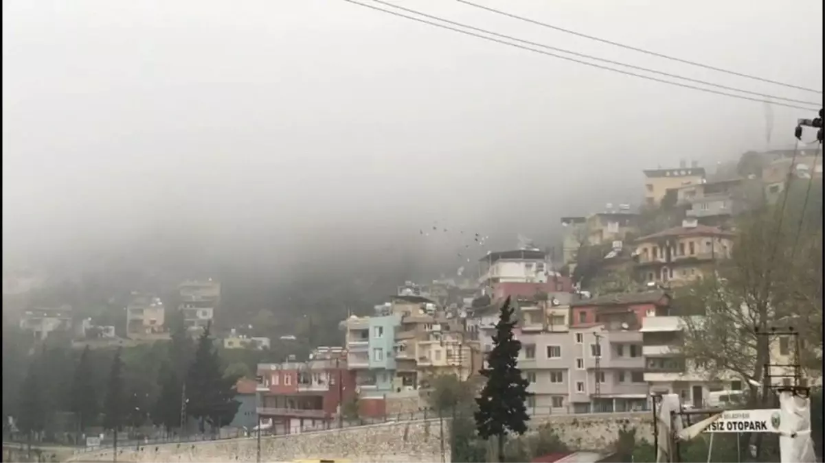 Hatay\'da Yoğun Sis Hayatı Olumsuz Etkiliyor