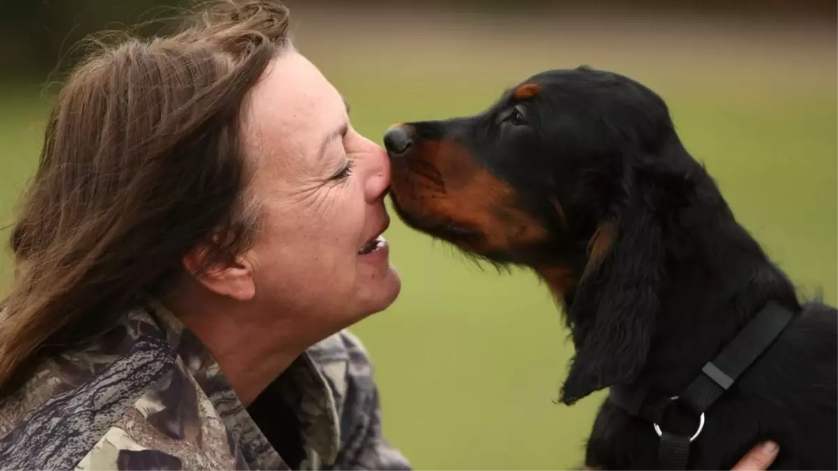 Köpek Sahipleri, Kedi Sahiplerine Kıyasla Daha Mutlu\'