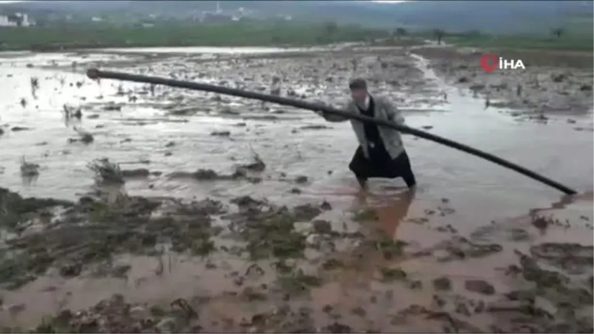 Şiddetli Yağış ve Dolu Tarım Arazilerini Vurdu