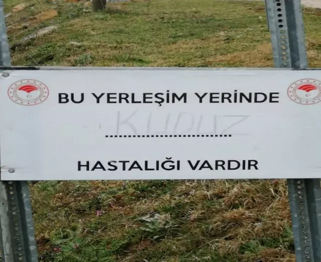Simav’da Kuduz Karantinası Son Dakika