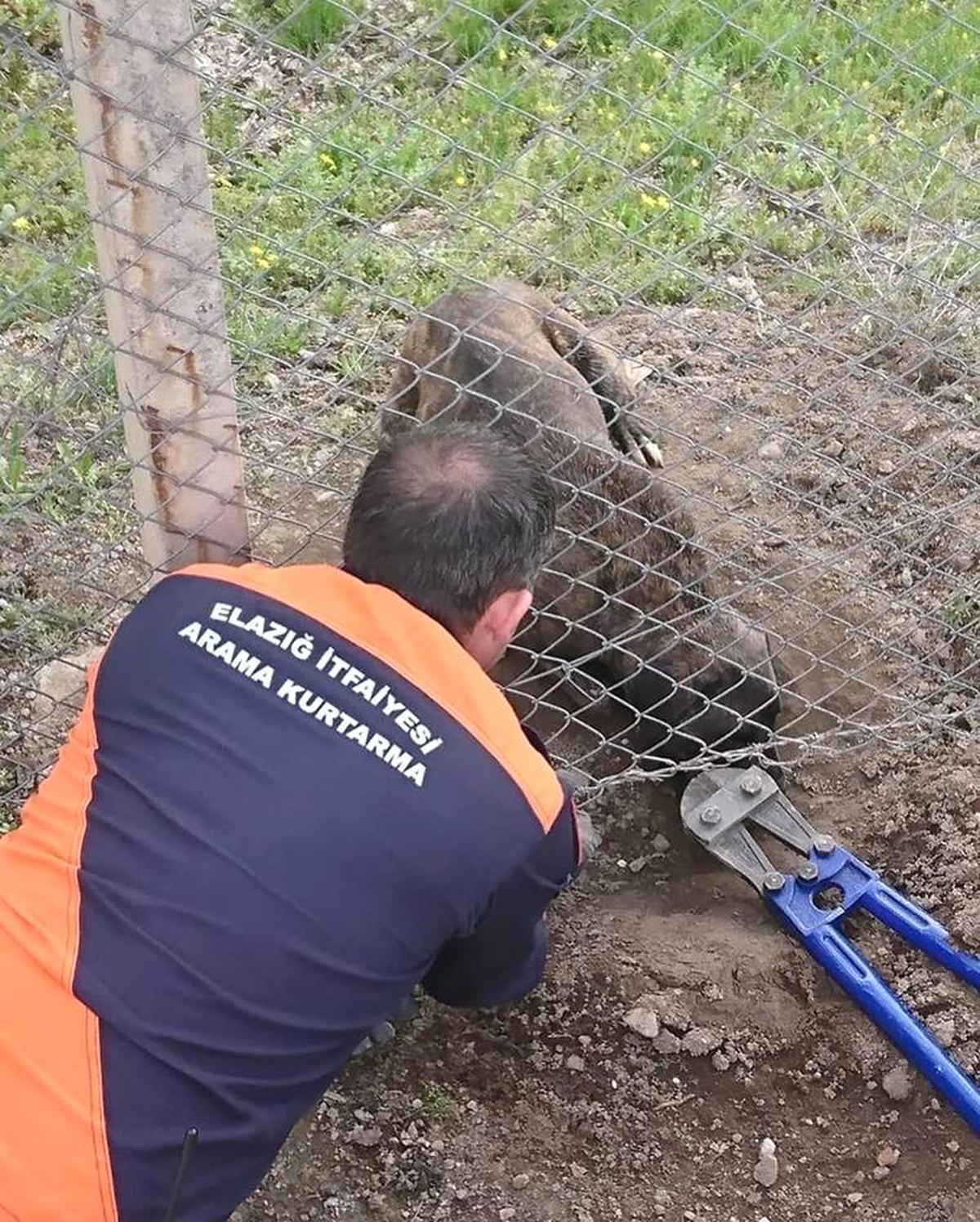 Tellere Sıkışan Köpeği İtfaiye Kurtardı