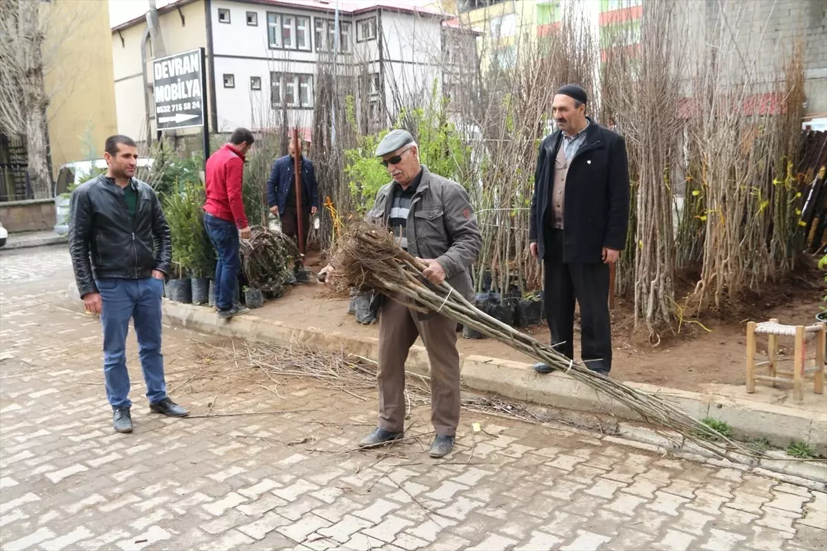 Güroymak\'ta Meyve Fidanı Satışı Başladı