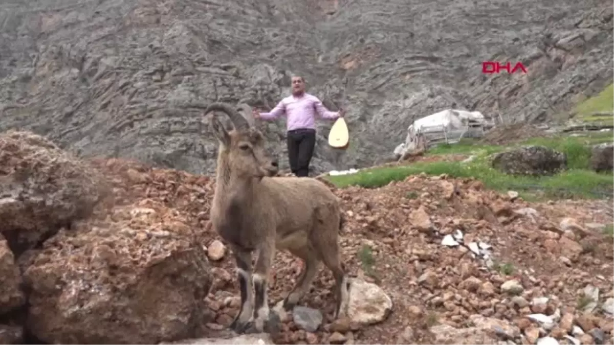 Hakkari Türkücü Aydın Aydın, Çukurca Dağlarında Dağ Keçisiyle Klip Çekti
