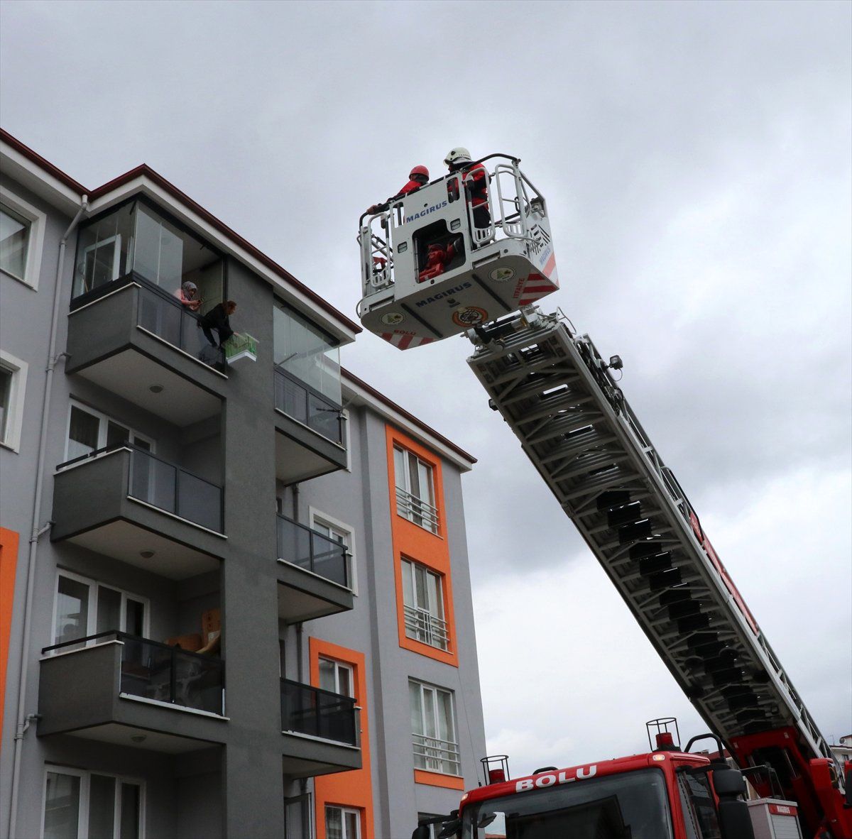 Kaçan Papağanı İtfaiye Yakaladı