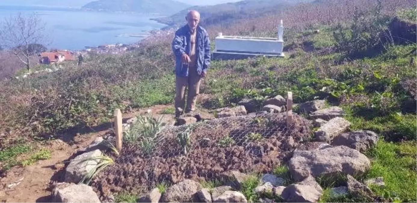 Mezarları, Yaban Domuzlarından Tel Örgüyle Koruyorlar