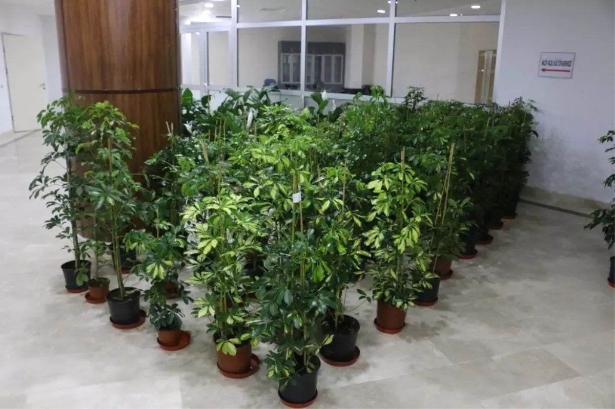 Başkan Özcan, Tebrik Çiçeklerini Engelliler İçin Satışa Çıkardı