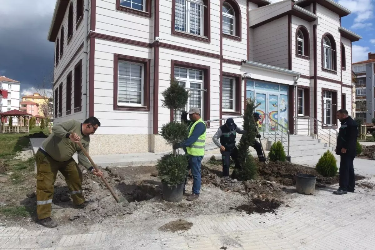 Belediye Başkanı Aşgın, "Yeşil Bir Çorum İçin Çalışıyoruz"