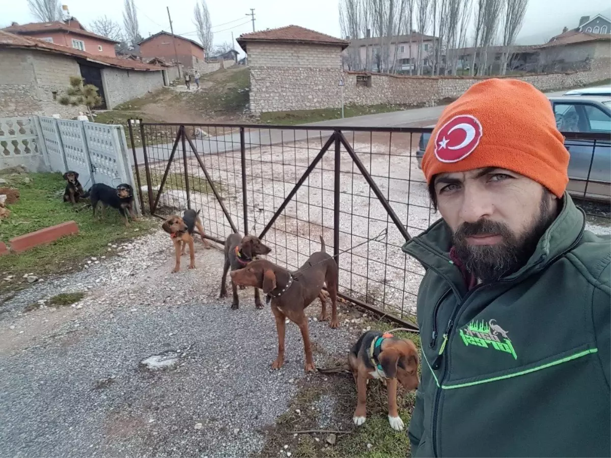 Bir Köpek Katliam Haberi de Kütahya\'da