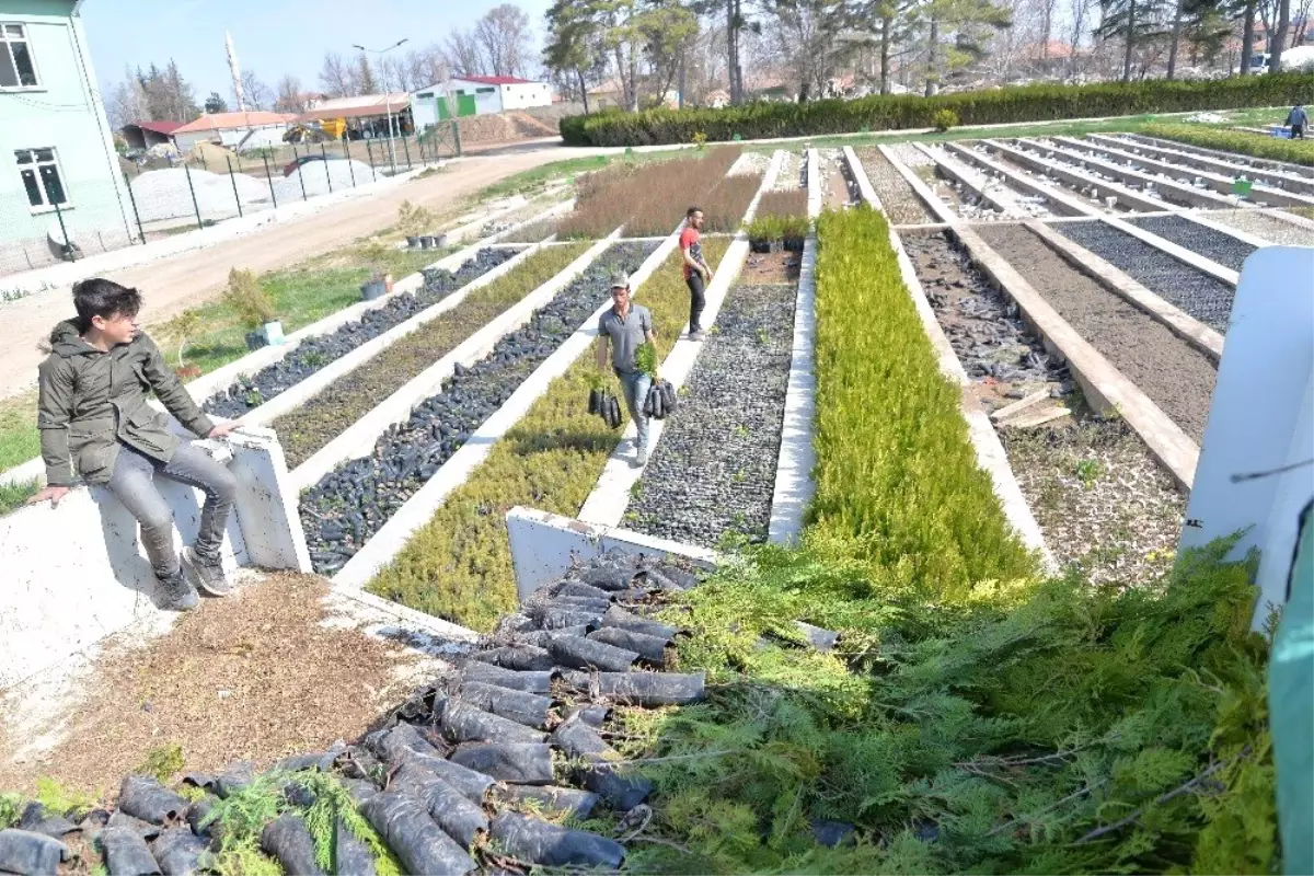 İl Tarım ve Orman Müdürlüğü 47 Bin Fidan Dağıttı