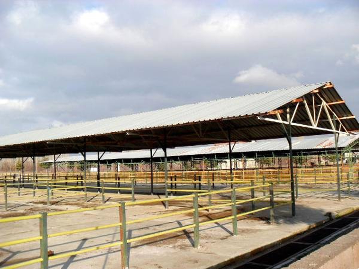 Isparta\'da Köyde Şap Hastalığı Karantinası