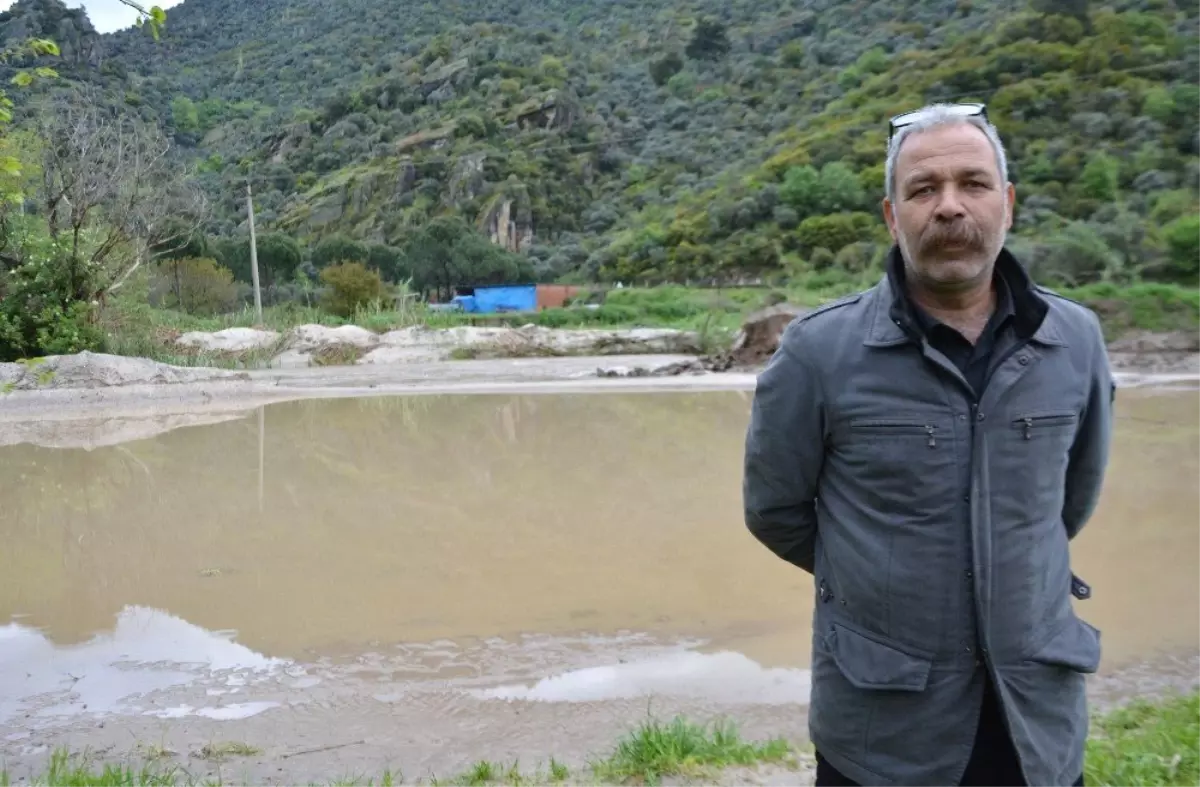 Söke\'de Kisir Çayı Yine Taştı, Ekili Araziler Zarar Gördü