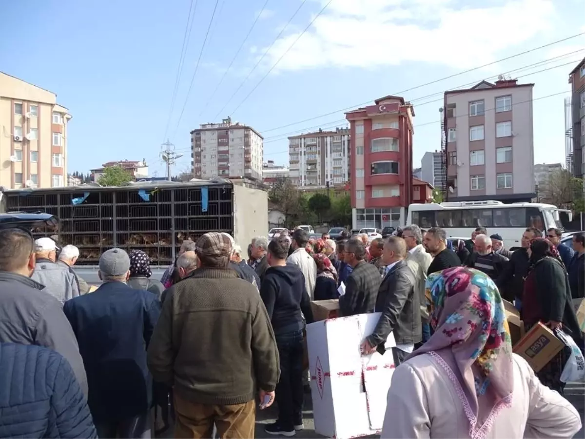 Ziraat Odası Çiftçilere 2 Bin Adet Yumurta Tavuğu Dağıttı