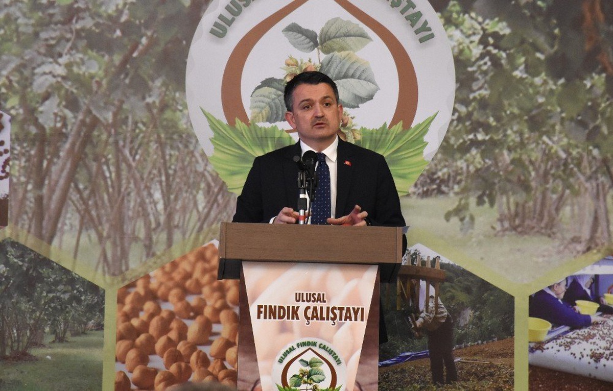 Bakan Pakdemirli: "Fındığın Türkiye\'ye Katkısını, 3 Milyar Dolar Olarak Belirledik"