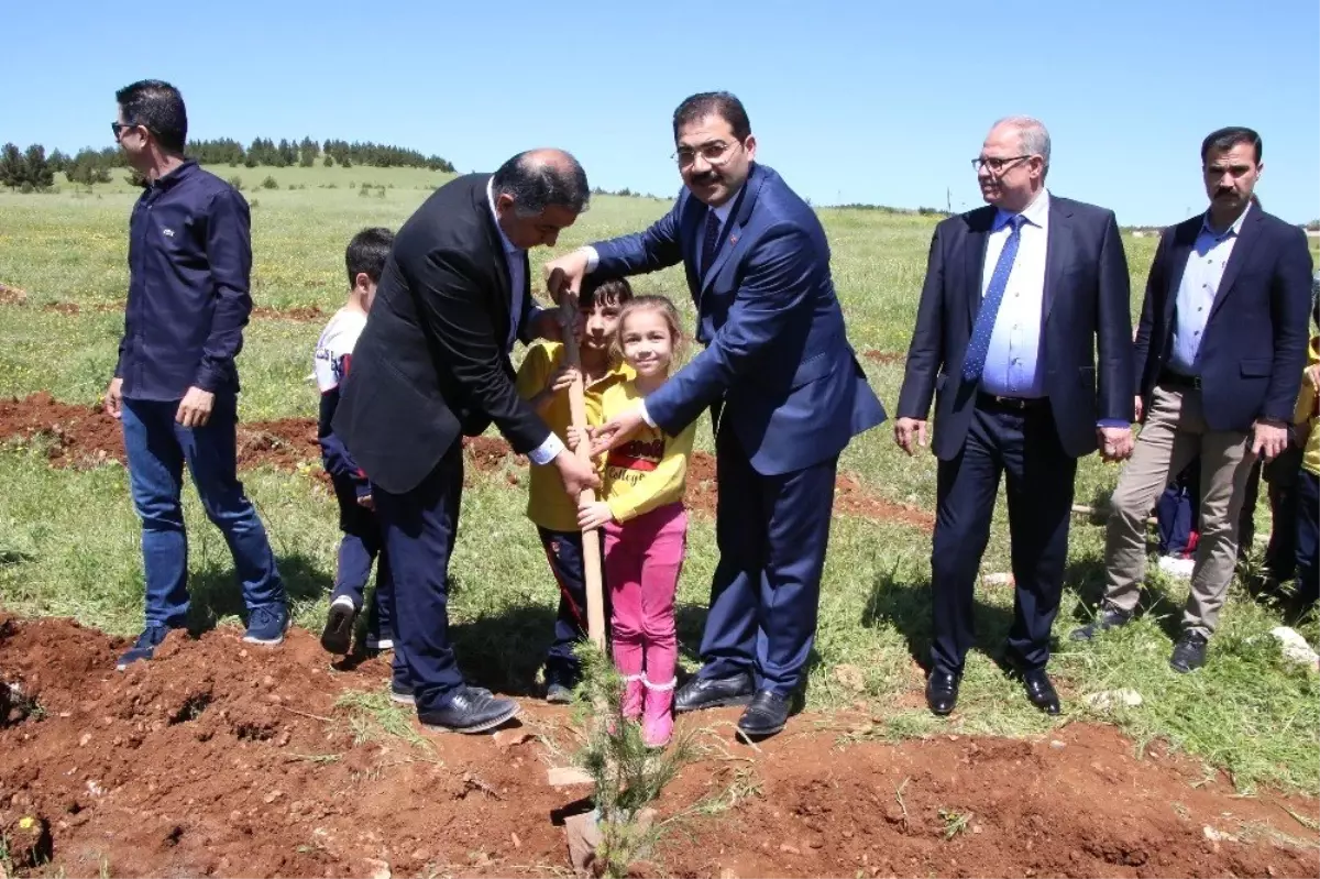 Canpolat Fidan Dikim Etkinliğine Katıldı