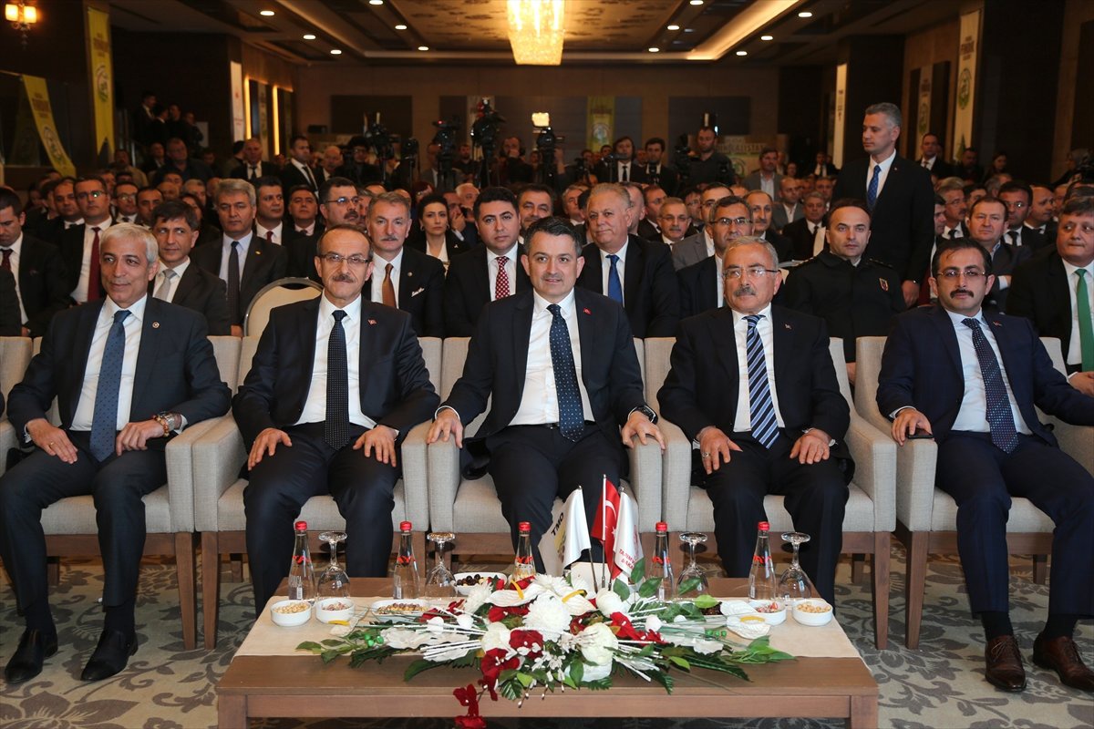 Döviz Girdisinde Fındığın Türkiye\'ye Katkısı Minimum 3 Milyar Dolar Olacak"