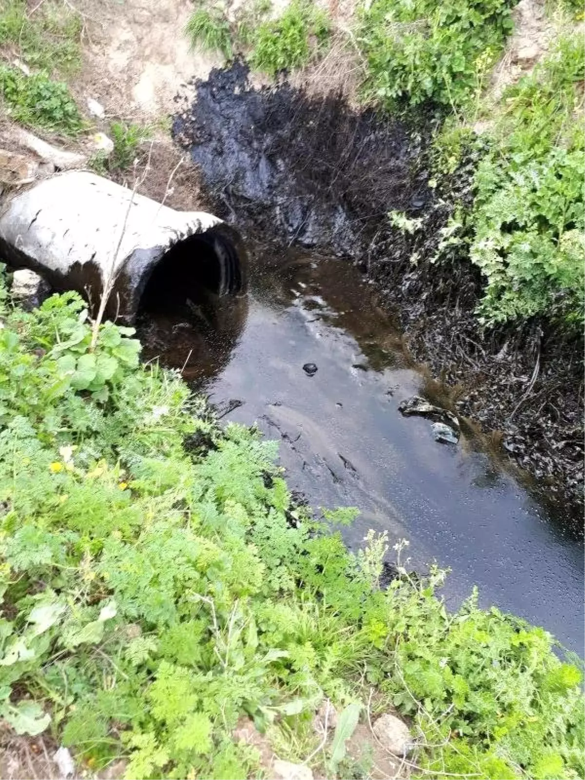 Kınık Deresi\'ne Kimyasal Atık Döküldü\' İddiasına İnceleme