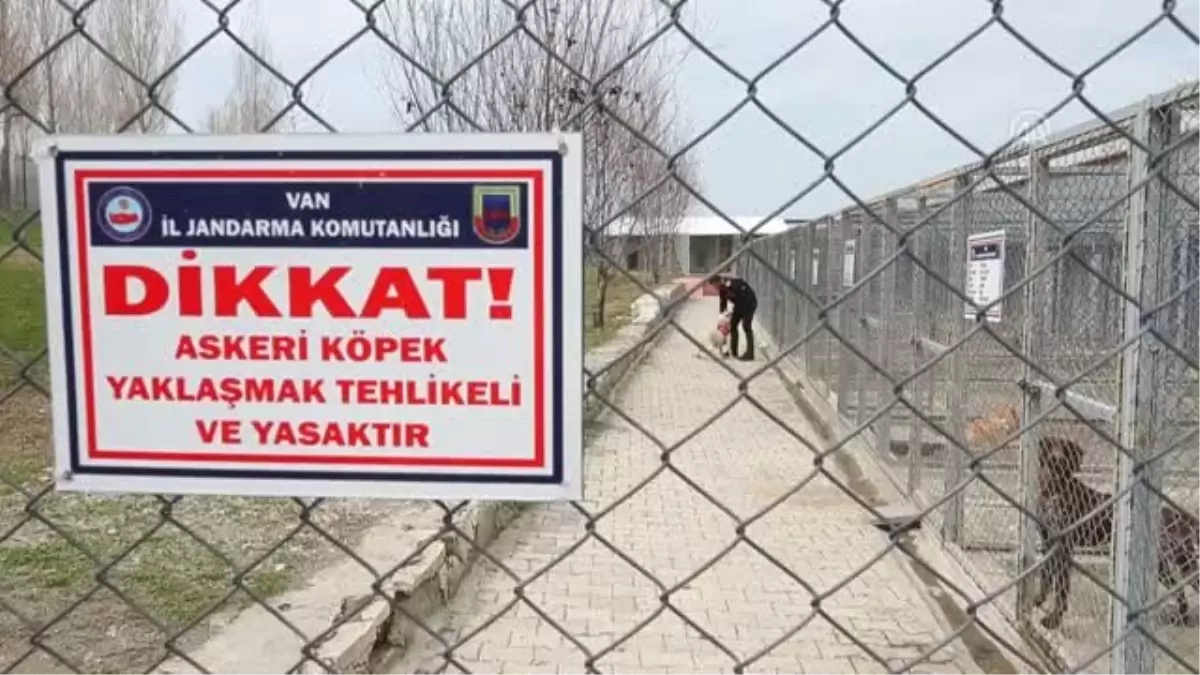 Süper Burunlar" Suçu Önlüyor (1)