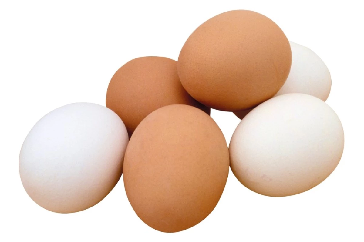 Yumurta Üretimi Şubat\'ta Azaldı