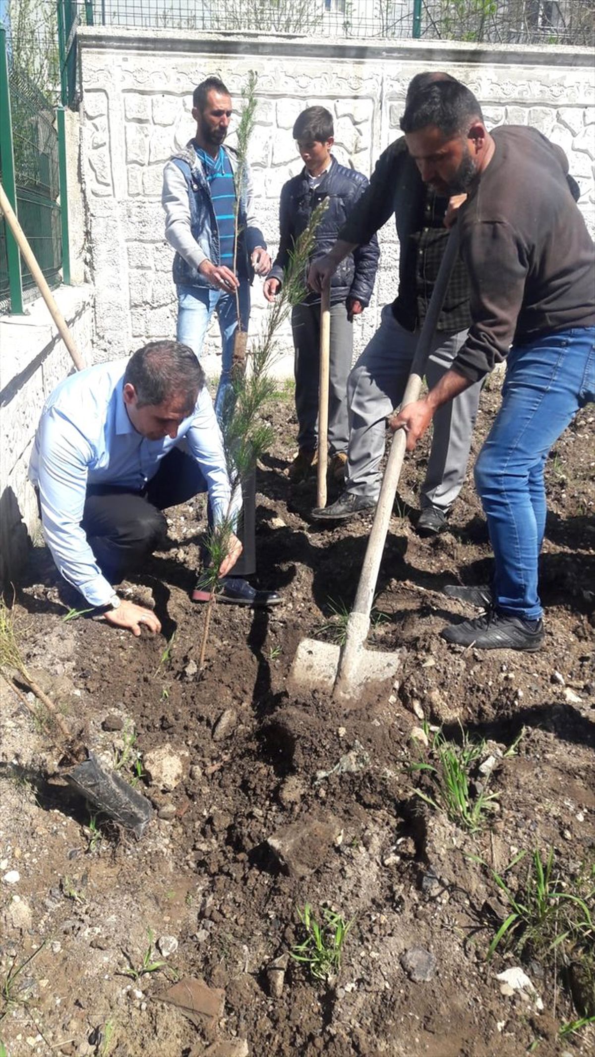 Gercüş\'te 5 Bin Fidan Toprakla Buluştu