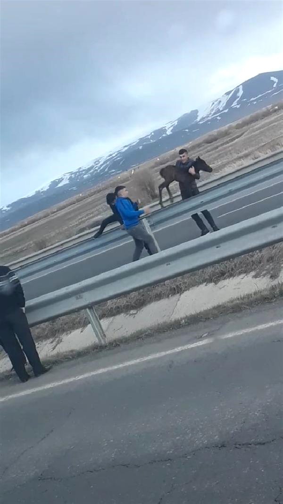Serviste Ezilmekten Kurtardıkları Tayla Yolculuk Yaptılar