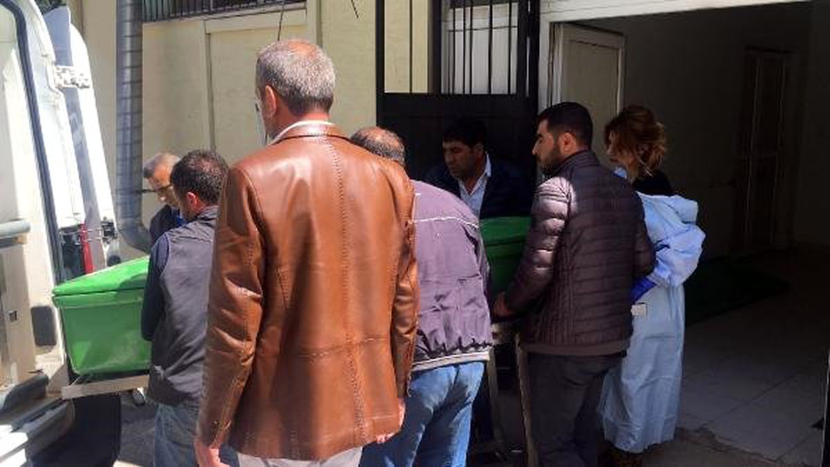 Tır Devrildi; Sürücü Öldü, 4 Büyükbaş Telef Oldu