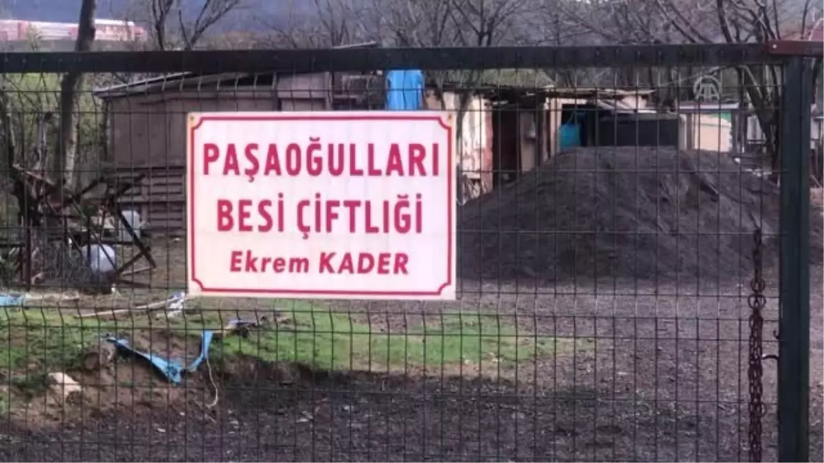 Bebeğindeki Keneyi Çıkaran Baba Hayatını Kaybetti