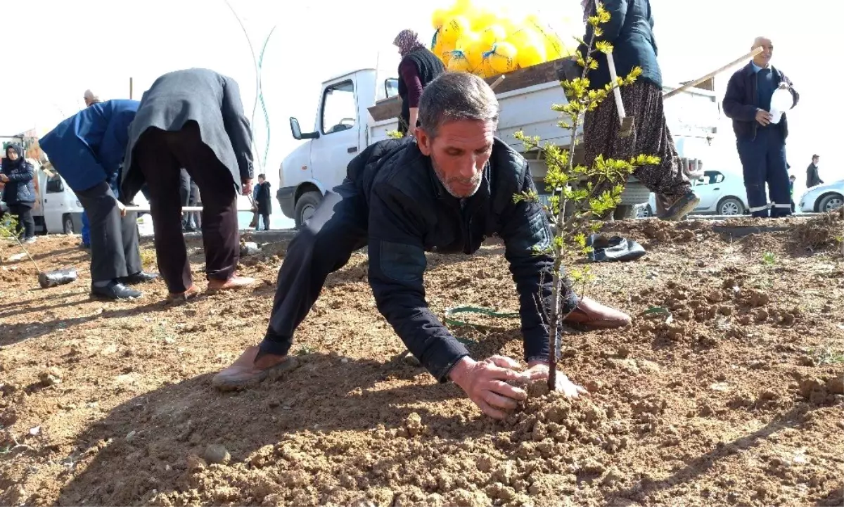 Kütahyalılar 10 Yılda 125 Bin Fidanı Toprakla Buluşturdu