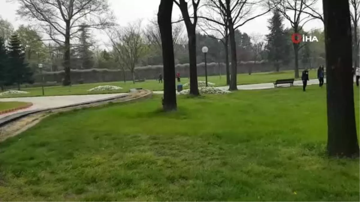 Parkta Sincap Gören Gençlerin Şaşkınlığı Kamerada