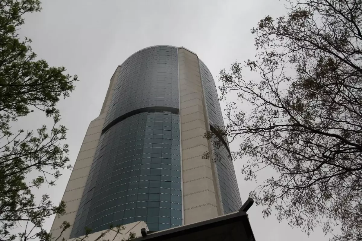 42. Kattan Ölüme Atladı